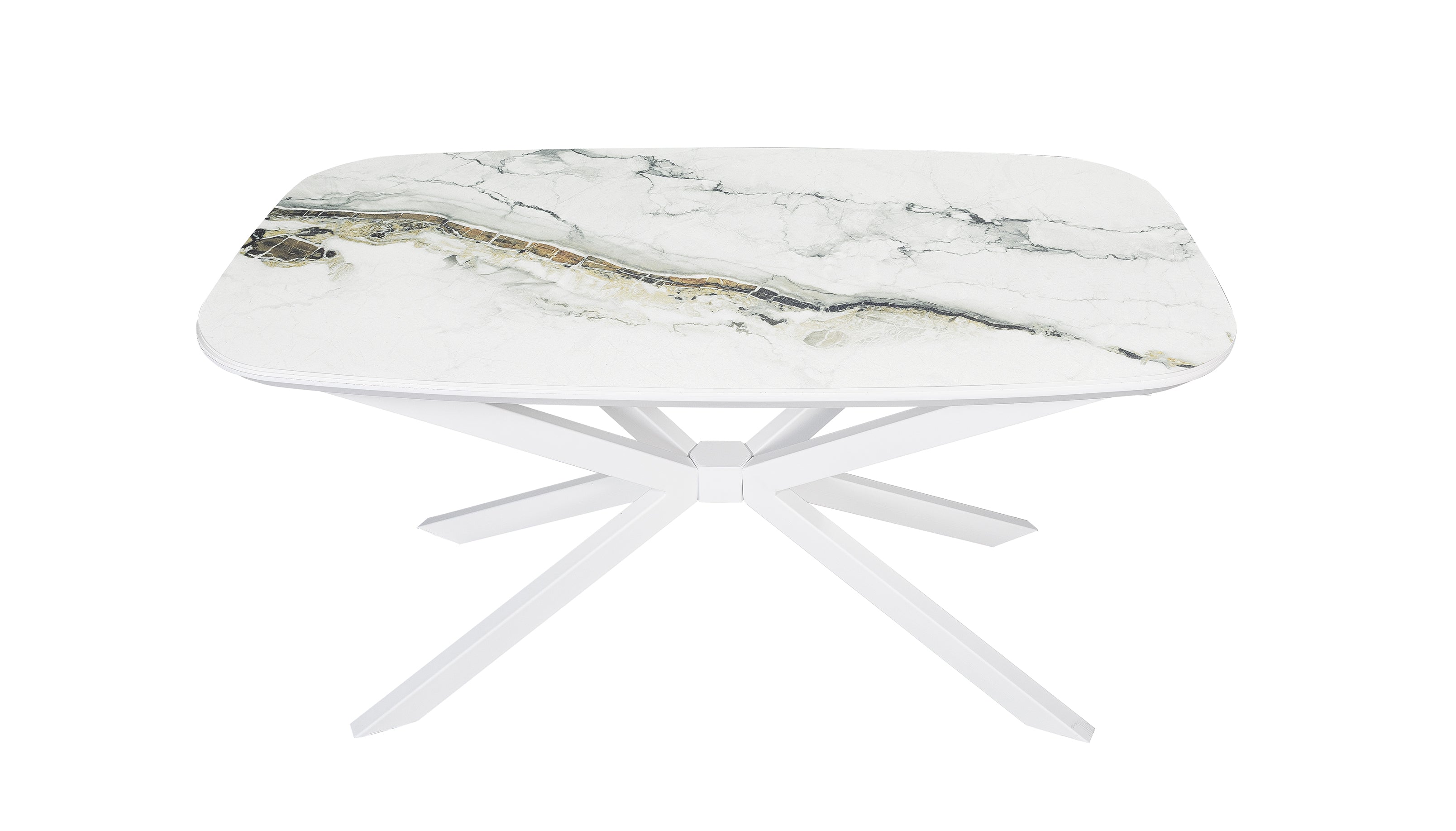 MASA299 living pentru 6 persoane 164x80x77h cm