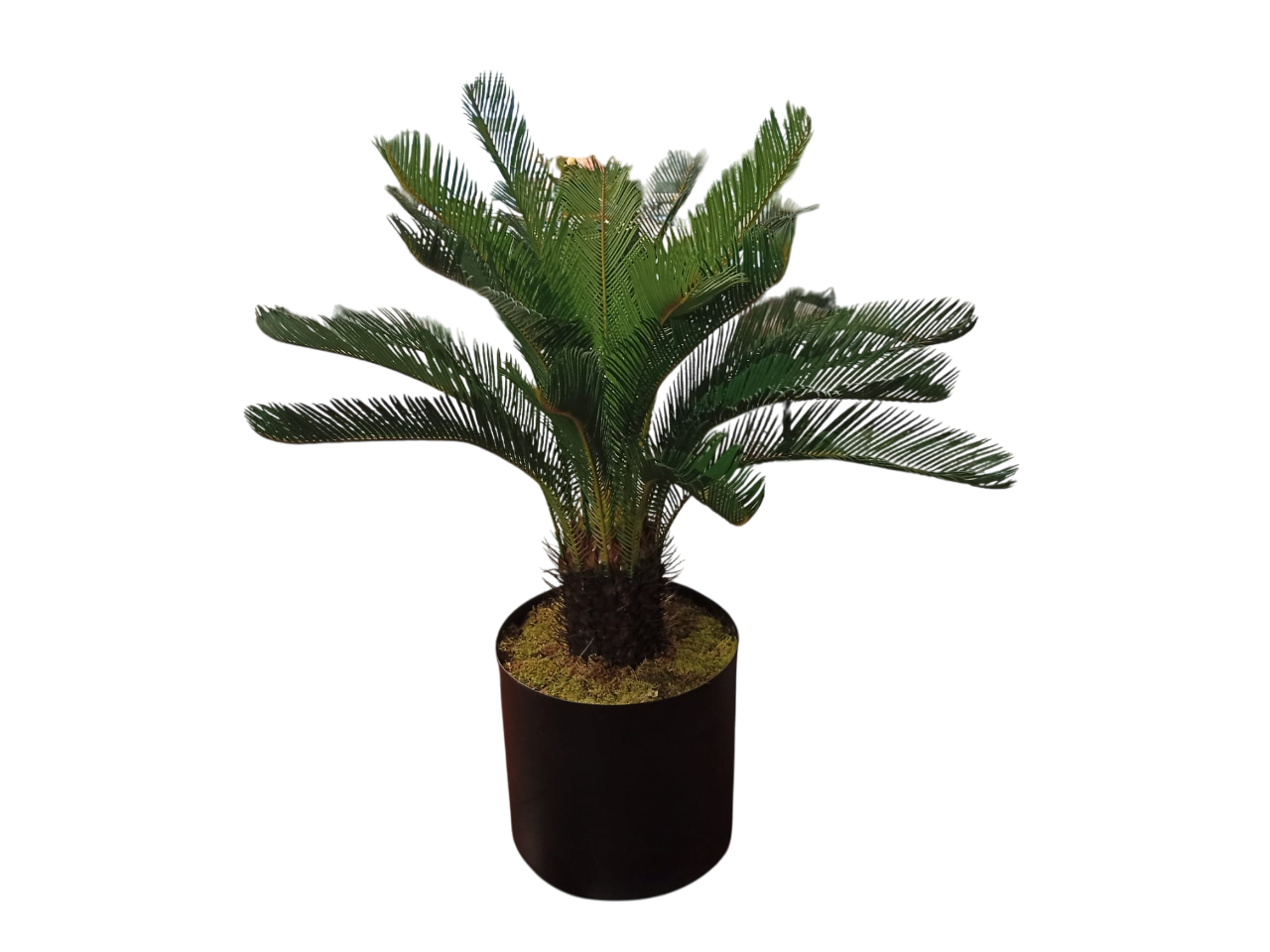 Planta decorativa COD DIV018