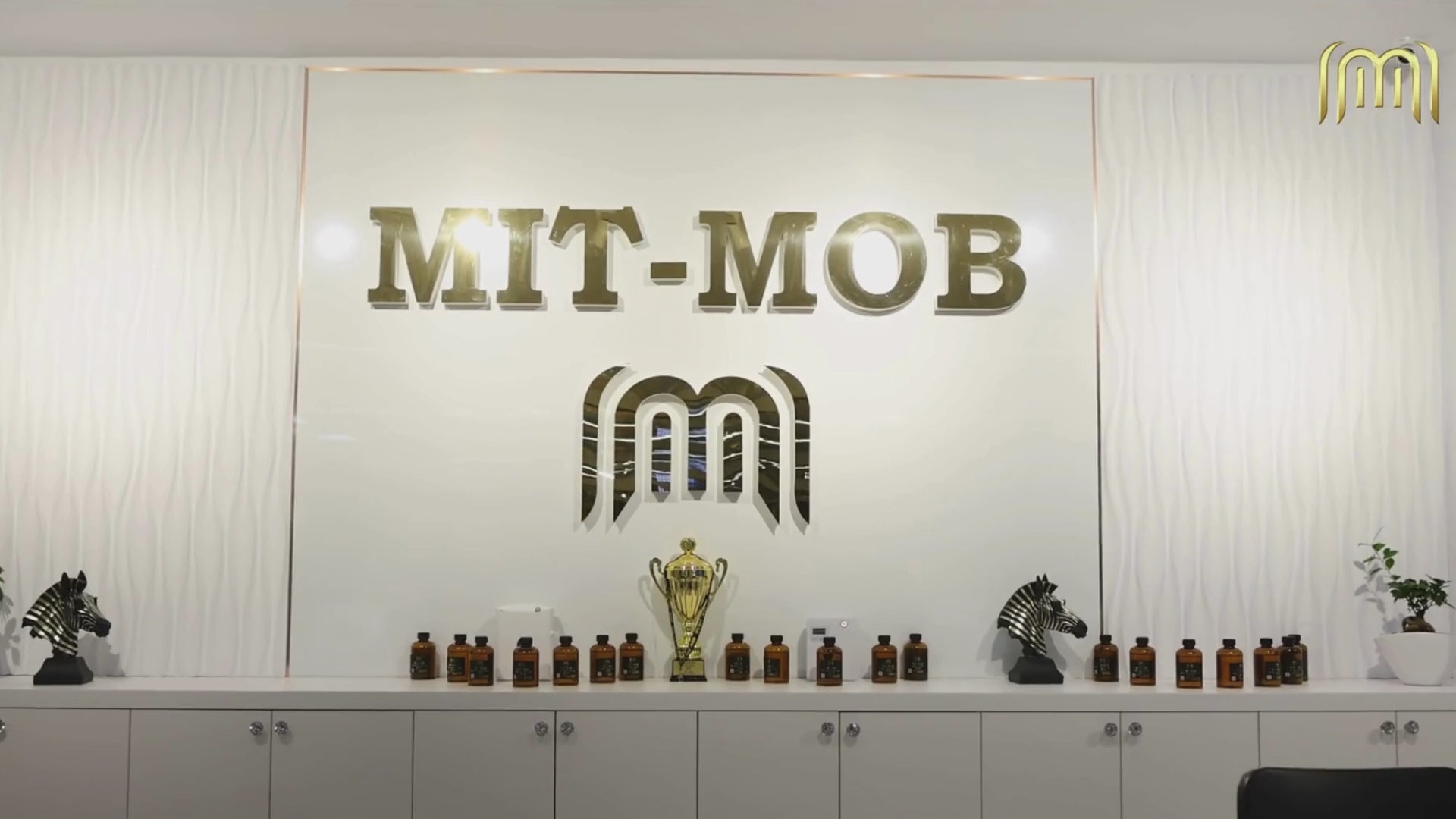 Încarcă clip: Showroom MitMob Suceava